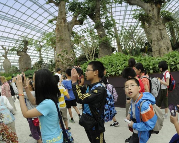 IN FOCUS: From reclaimed land to glass domes and towering metal trees - how Gardens by the Bay has blossomed