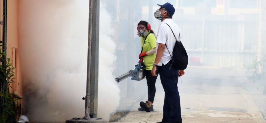 NEA, Temasek Foundation arm students with mosquito repellents as dengue cases spike