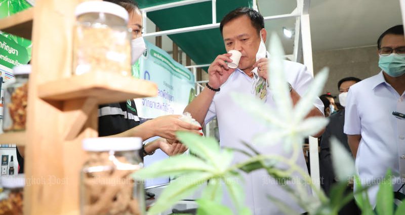 Pot policy ‘won’t be axed’
