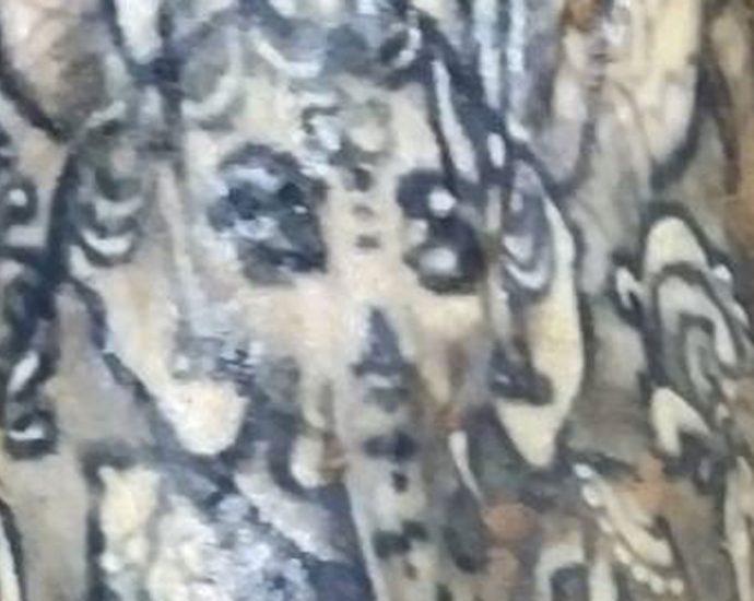 Tattoos, implants offer clues in Korat body discovery