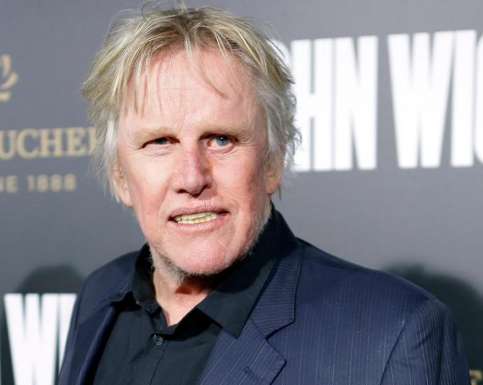 Actor Gary Busey faces sex offense charges at Monster Mania Convention in New Jersey