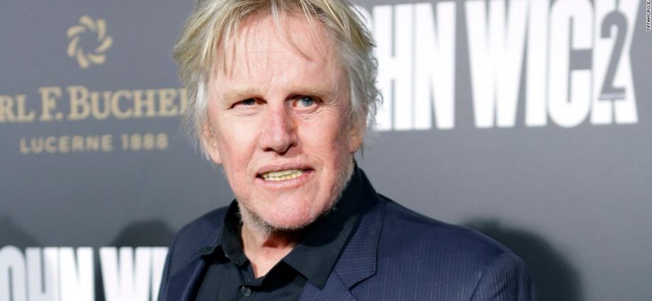 Actor Gary Busey faces sex offense charges at Monster Mania Convention in New Jersey