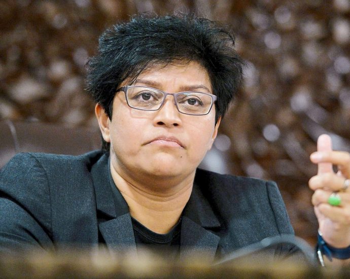 Azalina urges MPs to support Private Member's Bill to allow M’sian mums confer citizenship to overseas born children