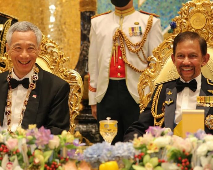 Brunei sultan and his wife to visit Singapore, will have orchid named in their honour