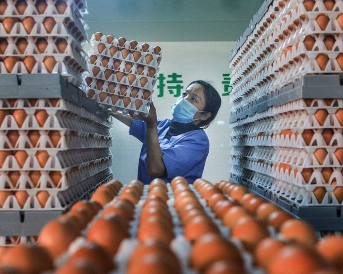 China heatwave pushes up prices as hens lay fewer eggs