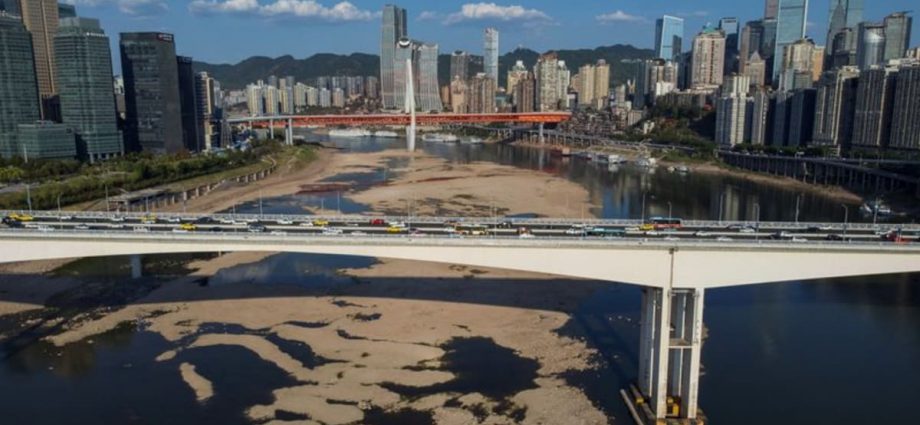 China issues first national drought alert, battles to save crops in extreme heatwave