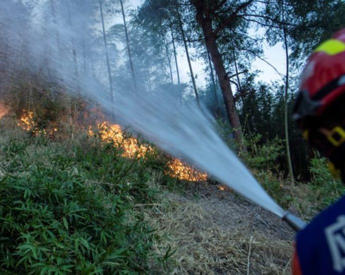 China’s southwest battles forest fires as fears linger over harvest