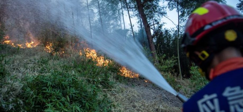 China’s southwest battles forest fires as fears linger over harvest