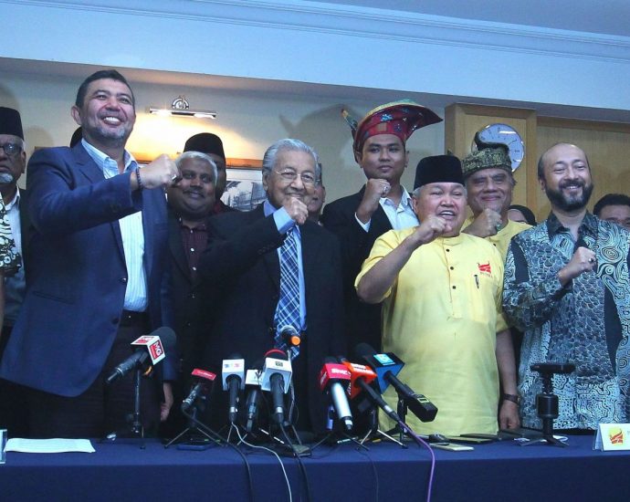 Dr M launches Malay-Muslim movement to take on Umno in GE15