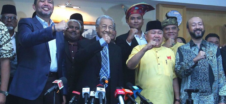 Dr M launches Malay-Muslim movement to take on Umno in GE15