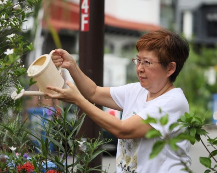 From Our Backyard: This seasoned home gardener grows her vegetables in repurposed plastic cups