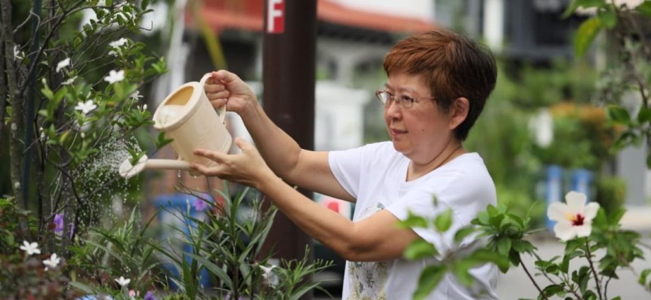 From Our Backyard: This seasoned home gardener grows her vegetables in repurposed plastic cups