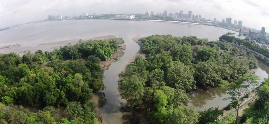 Google will provide USD million to Singapore’s Mandai Nature to tackle climate crisis