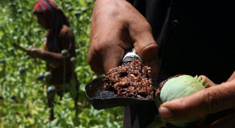 How the Taliban taxed its way to power