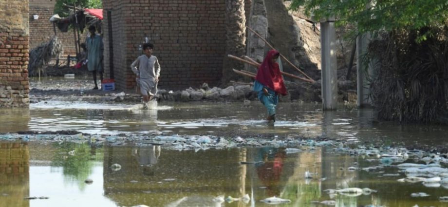 Huge relief operation under way as Pakistan flood death toll rises