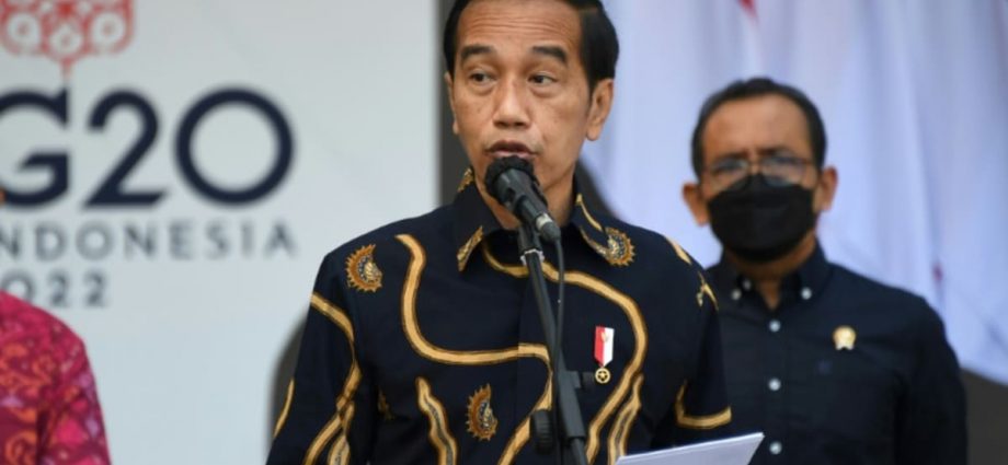 Indonesia has successfully controlled COVID-19, exercised global leadership amid tensions: Jokowi