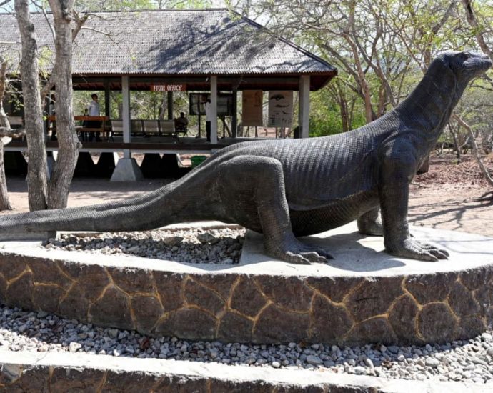 Indonesian tourism workers strike over Komodo park price hike