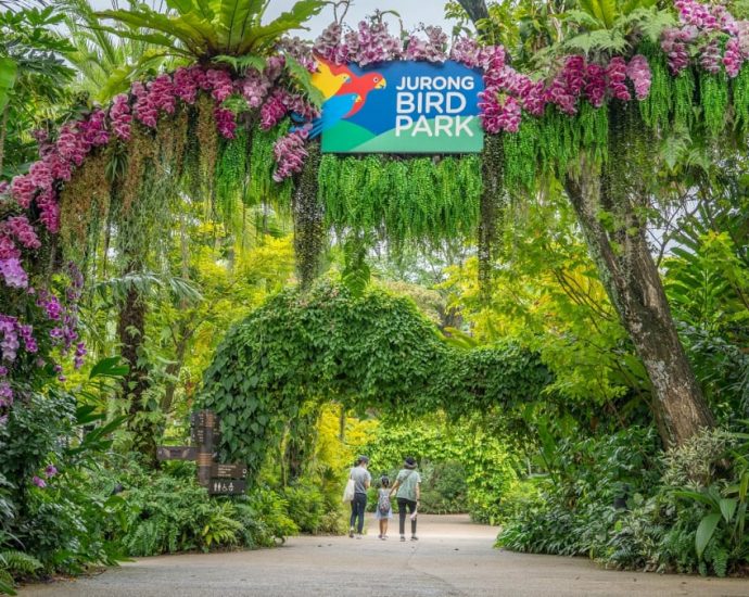 Jurong Bird Park set to close on Jan 3, 2023 – time to plan a trip down memory lane