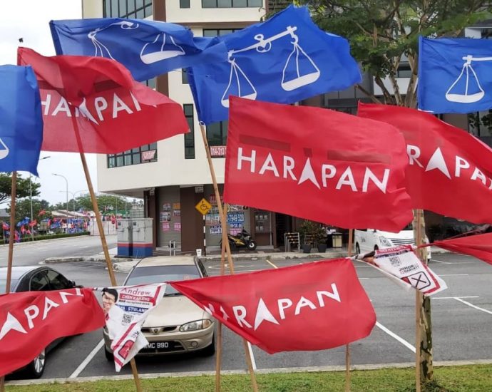 Malaysia polls likely to be held later this year, say analysts as political parties gear up for campaign