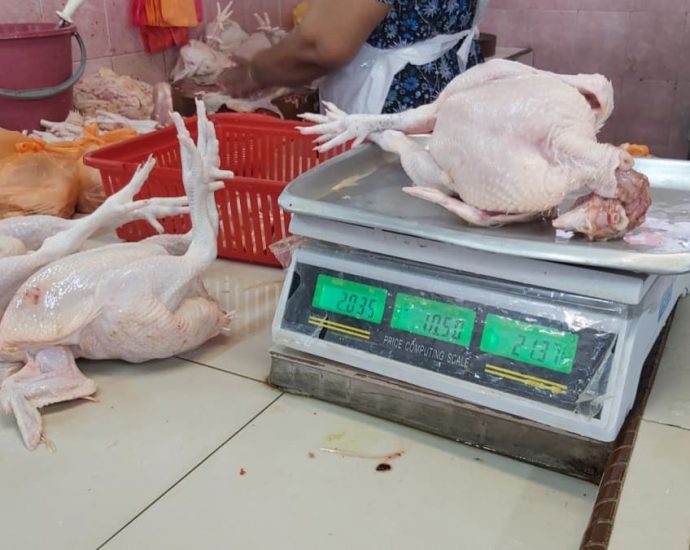 Malaysia says no decision yet on lifting chicken export ban despite minister’s earlier comments