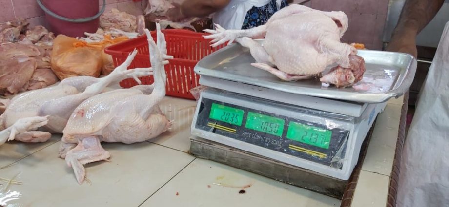 Malaysia says no decision yet on lifting chicken export ban despite minister's earlier comments