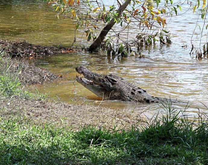 Man attacked by crocodile while fishing in Semporna