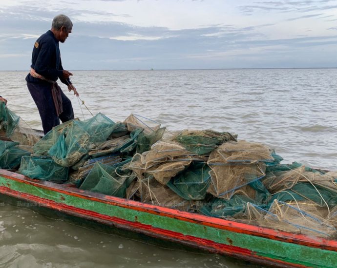 More than 300 illegal fishing traps seized in South