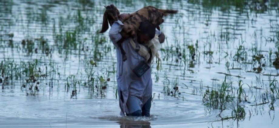 Pakistan declares emergency as millions affected by floods