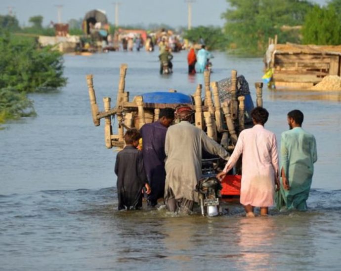 Pakistan floods cost at least US billion: Planning minister