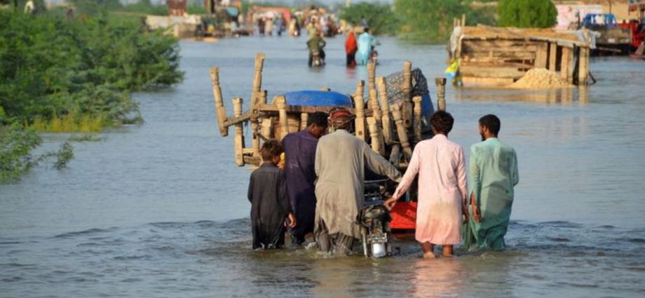 Pakistan floods cost at least US billion: Planning minister