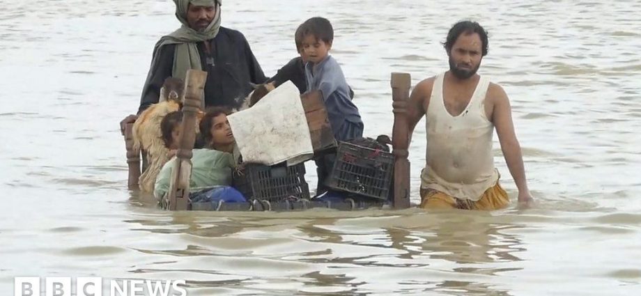 Pakistan: Millions affected by heavy flooding