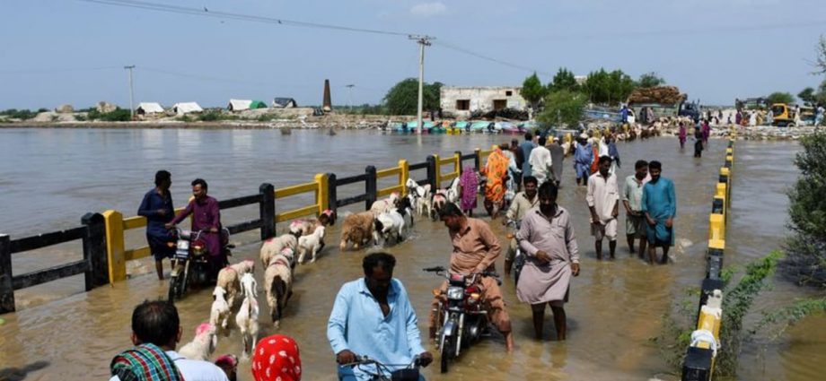 Pakistan urged to open up India route to flood aid