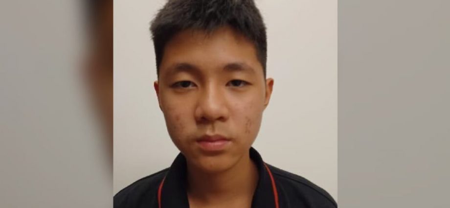 Police appeal for information on 12-year-old boy missing since Aug 2