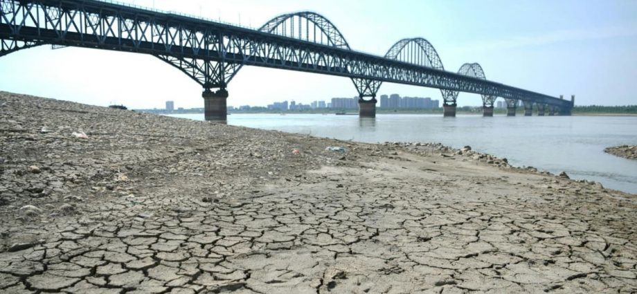 Receding water levels of China’s Yangtze reveal ancient Buddhist statues