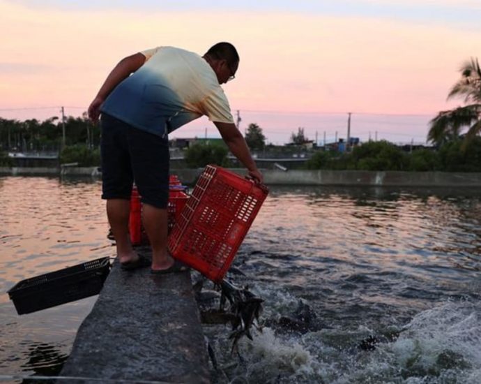 Taiwan fishing community casting for fresh markets after China ban