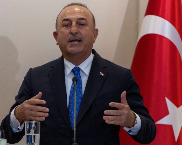 Turkiye's foreign minister to visit Malaysia starting Aug 3