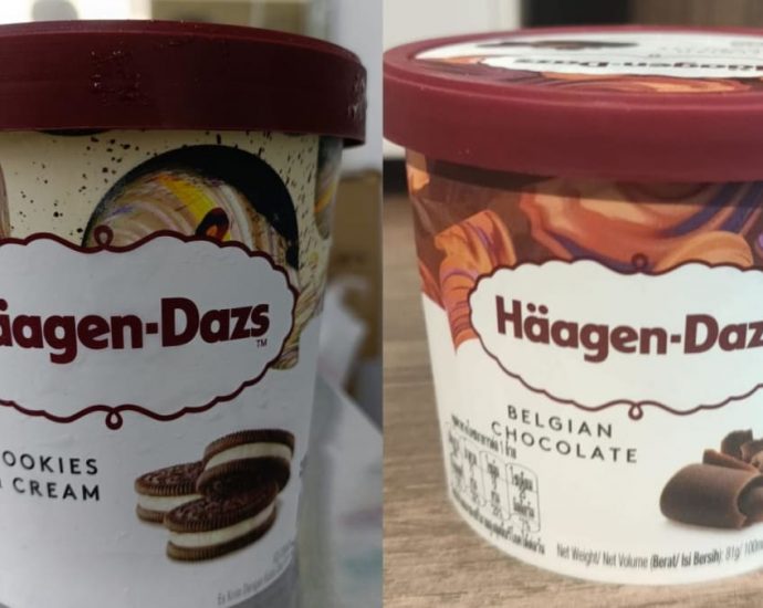 Two Haagen-Dazs ice cream products recalled due to presence of pesticide