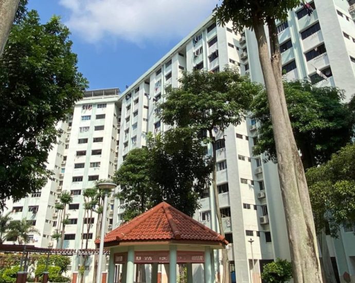 1 in 5 Ang Mo Kio SERS households have applied for new flats: HDB