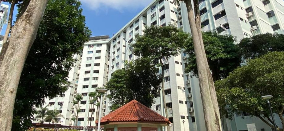 1 in 5 Ang Mo Kio SERS households have applied for new flats: HDB