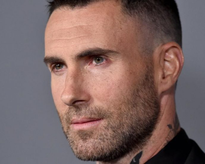 Adam Levine denies having an affair, but admits he ‘crossed the line’