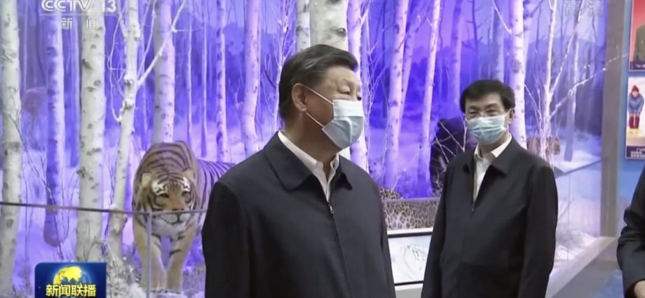 China president Xi Jinping reappears on state TV amid rumors over absence