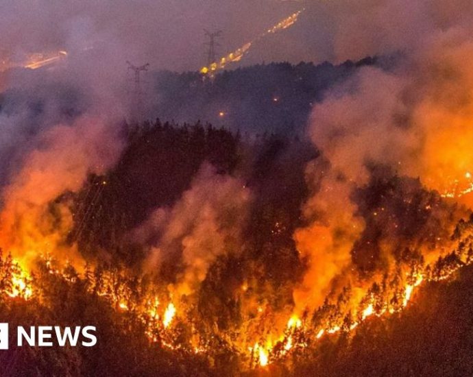 Chinese motorcyclists join Chongqing wildfire battle