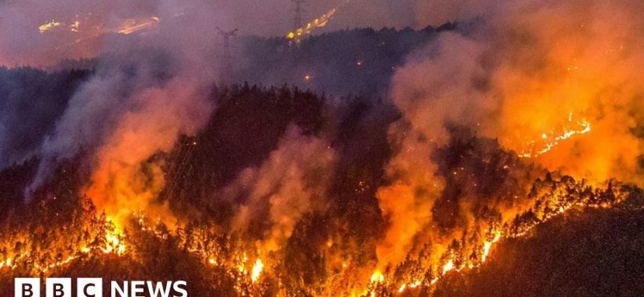 Chinese motorcyclists join Chongqing wildfire battle