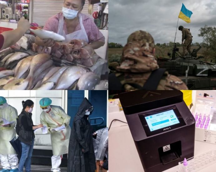 Daily round-up, Sep 22: Singapore fresh fish prices to keep increasing; analysts say Putin preparing for long war in Ukraine; Taiwan eyeing end to COVID-19 quarantine