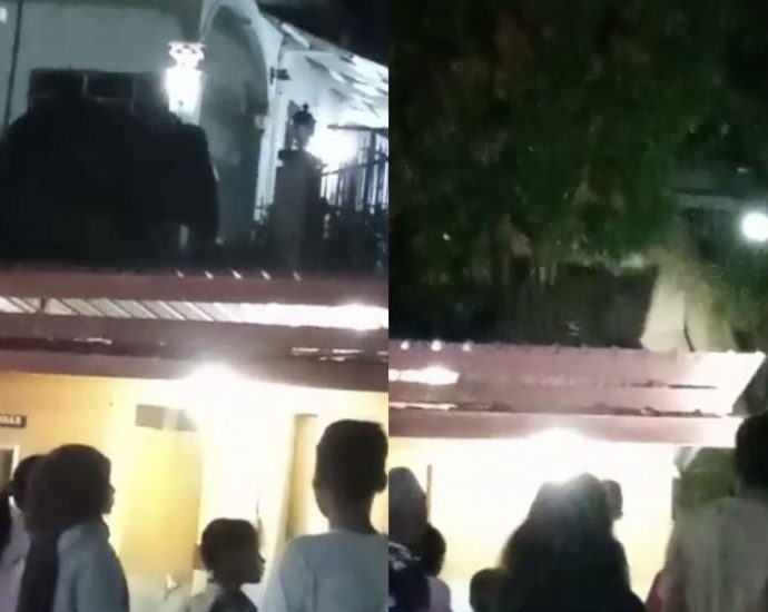 Elephant causes stir as it wanders into bungalow in Telupid