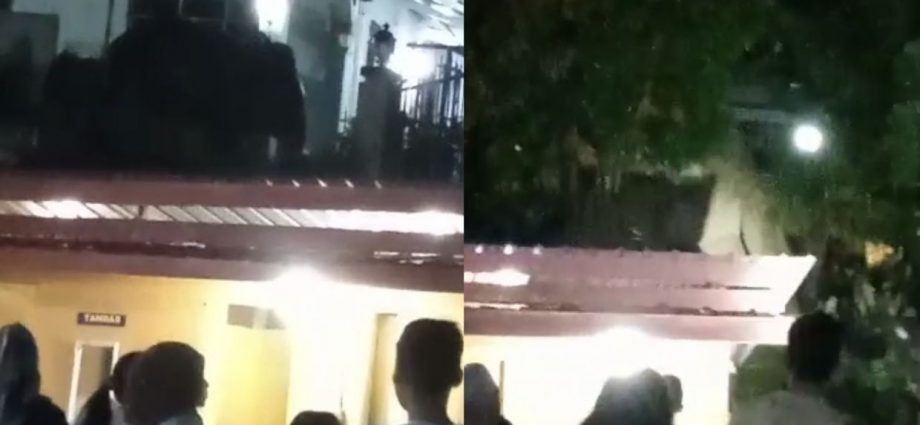 Elephant causes stir as it wanders into bungalow in Telupid