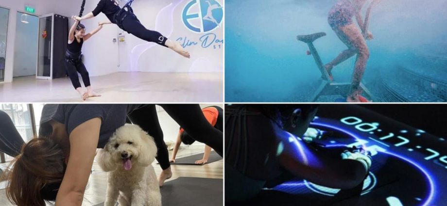 Five on Friday: 5 unusual workouts – from indoor 'bungee' to puppy yoga