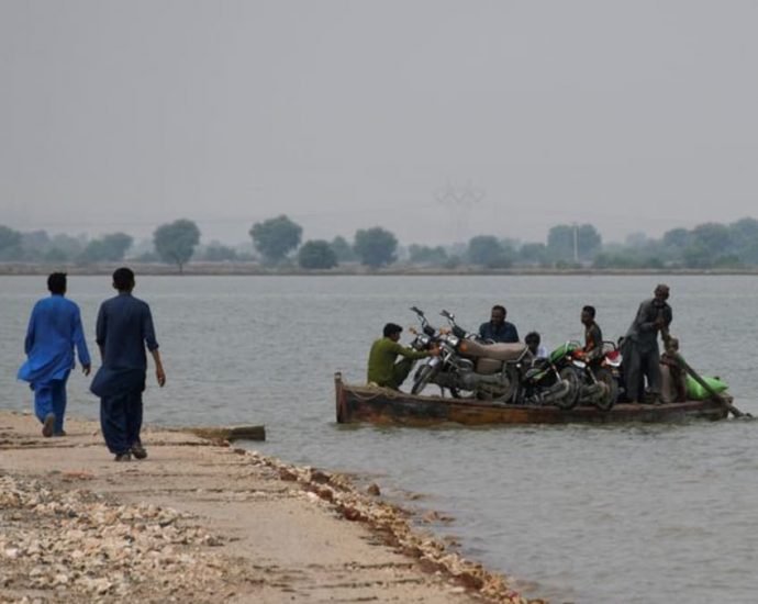 Fodder dries up for Pakistan’s cattle as floodwaters stay high