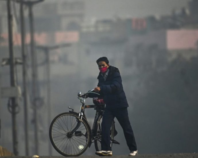 Heatwaves and wildfires to worsen air pollution: UN