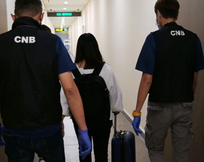 How Singapore stops drugs and drug users from passing through Changi Airport